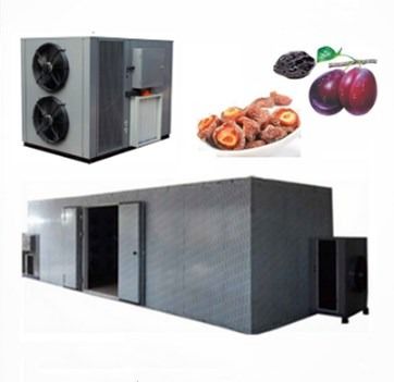 qualità  High Efficiency Commercial Food Dehydrator Use Apricot Fruit Heat Pump Drying Machine fabbrica